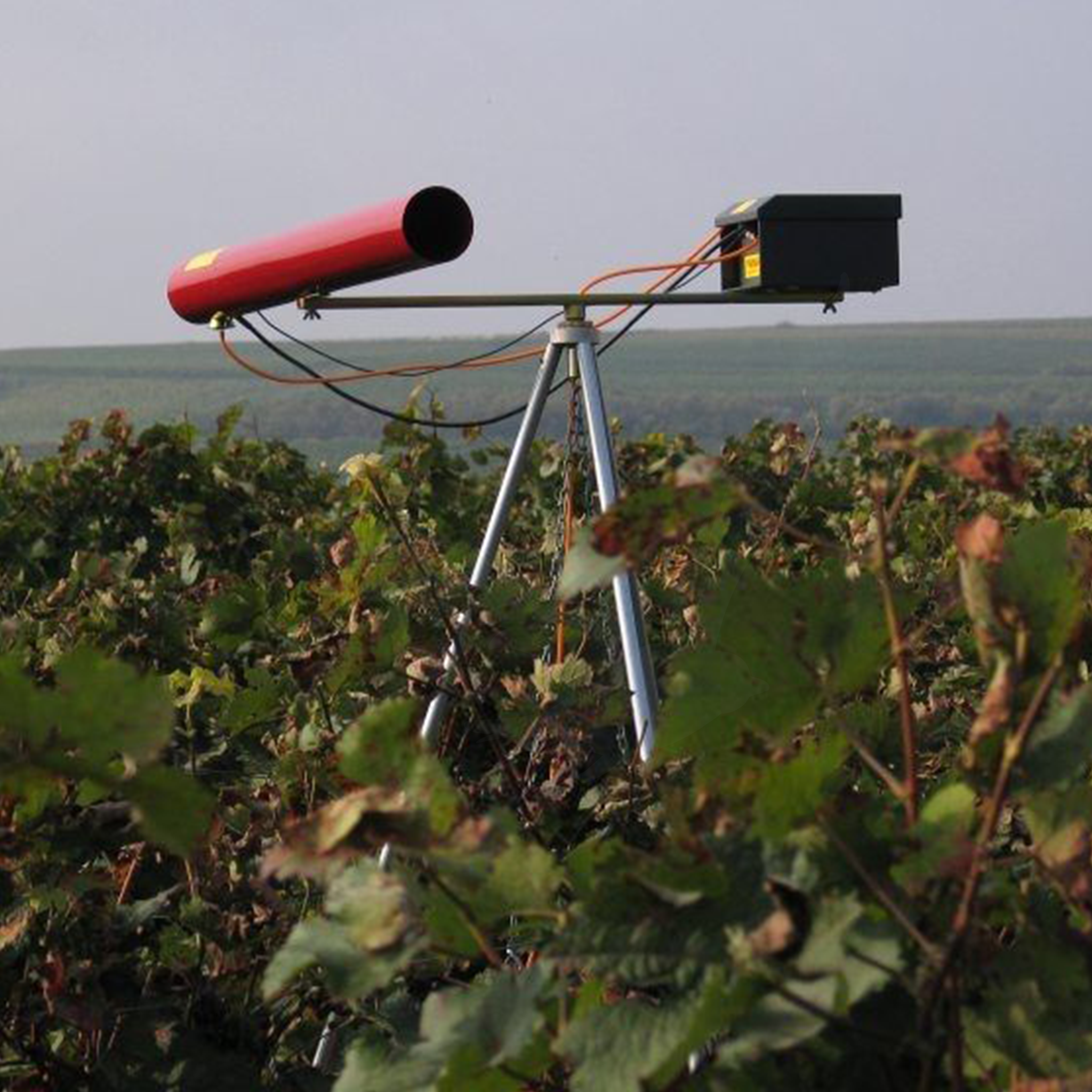 Carousel Gas Gun