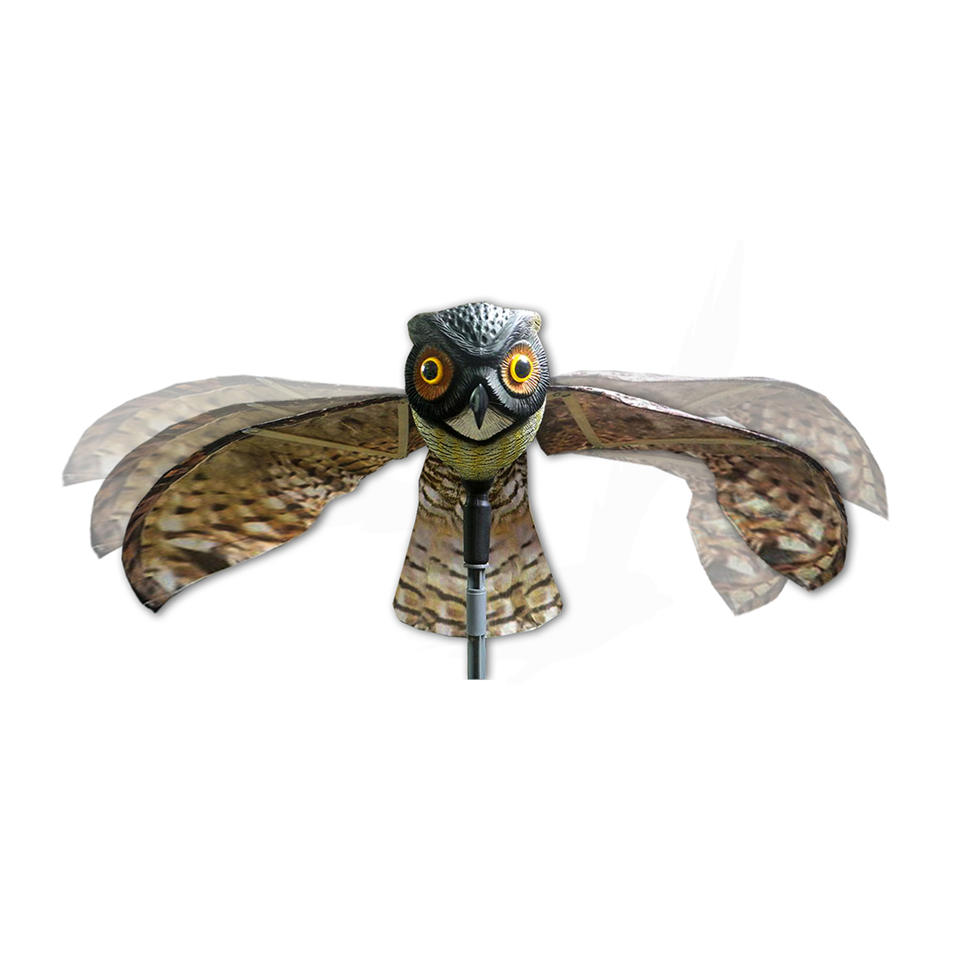 Prowler Owl