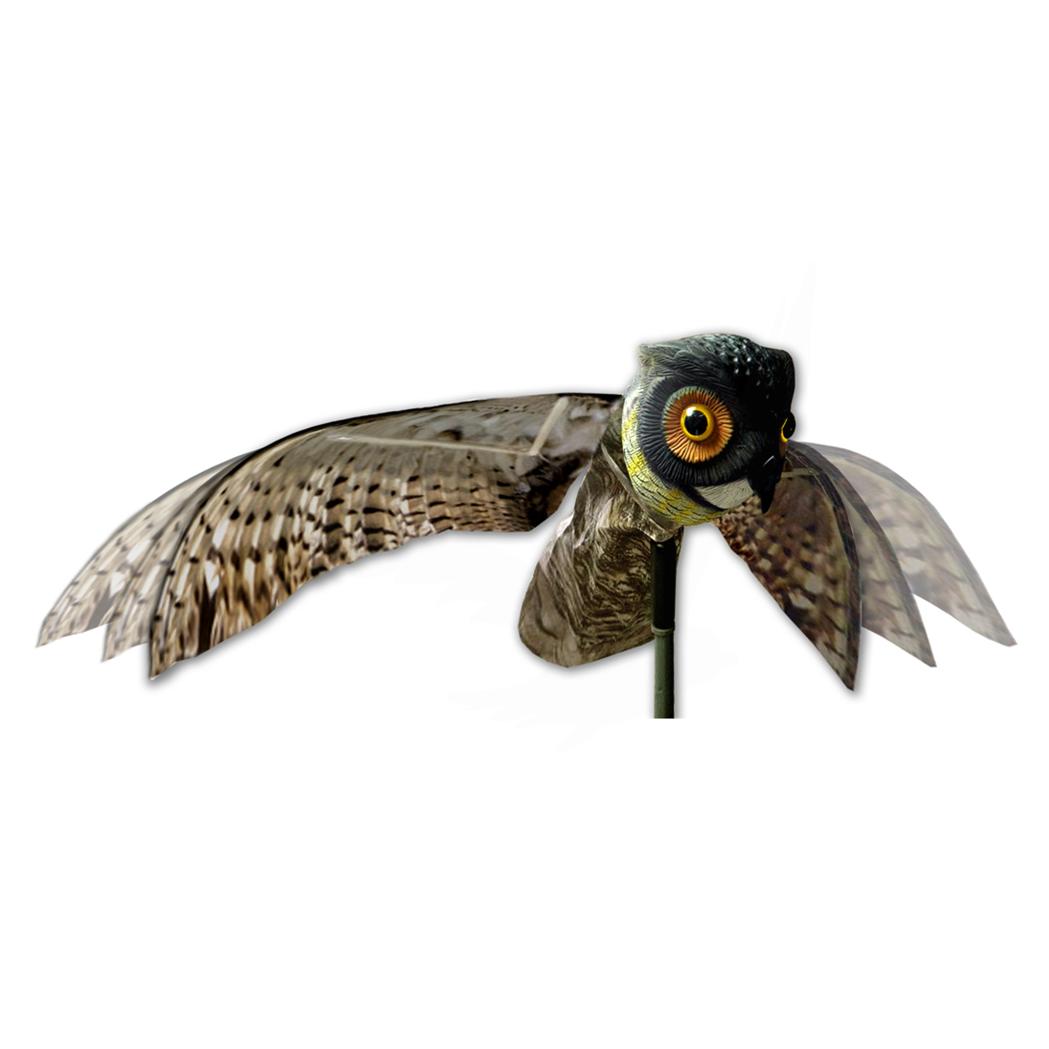 Prowler Owl