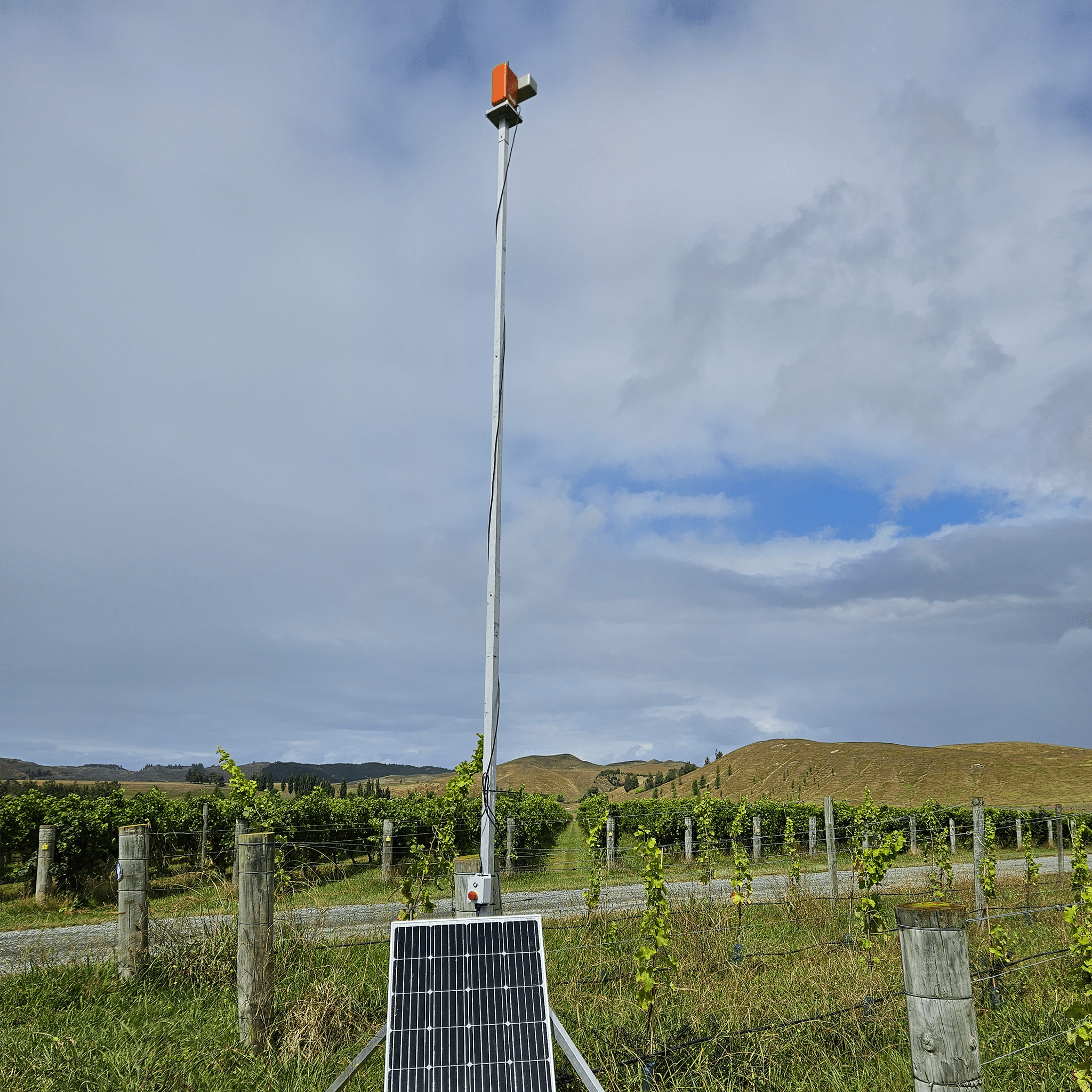 Auto Laser Ultimate MK2 - Birdzout