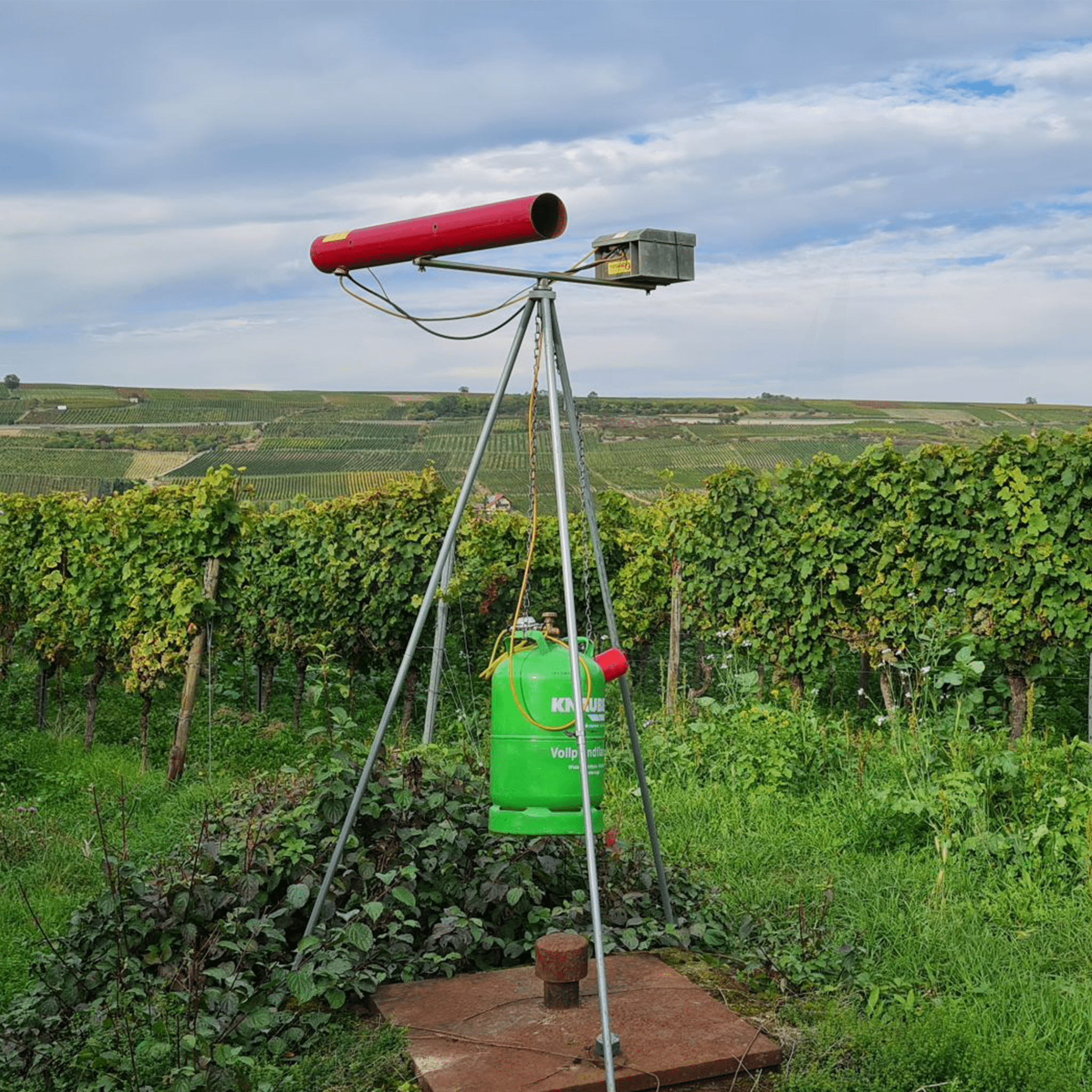 Carousel Gas Gun - Birdzout