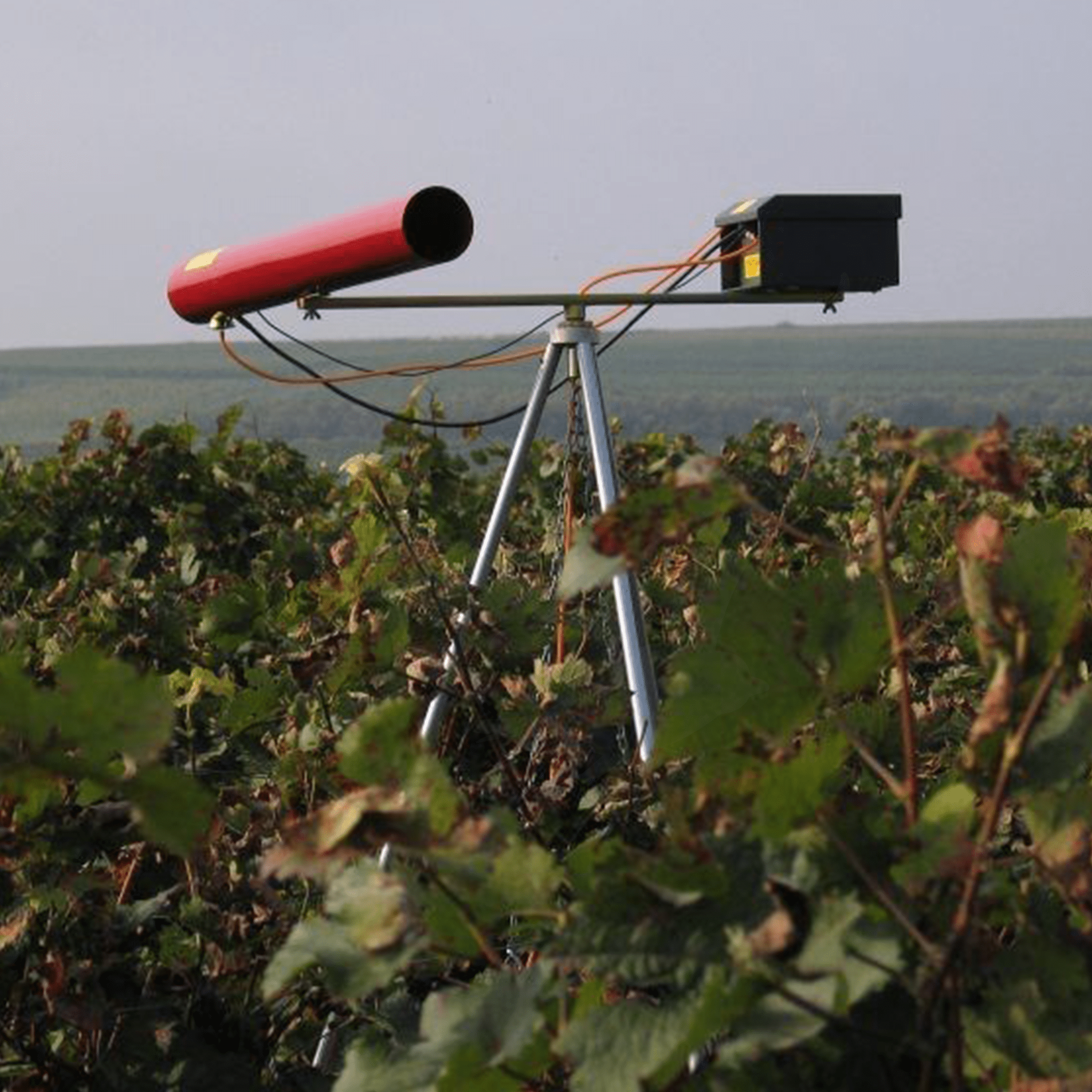 Carousel Gas Gun - Birdzout