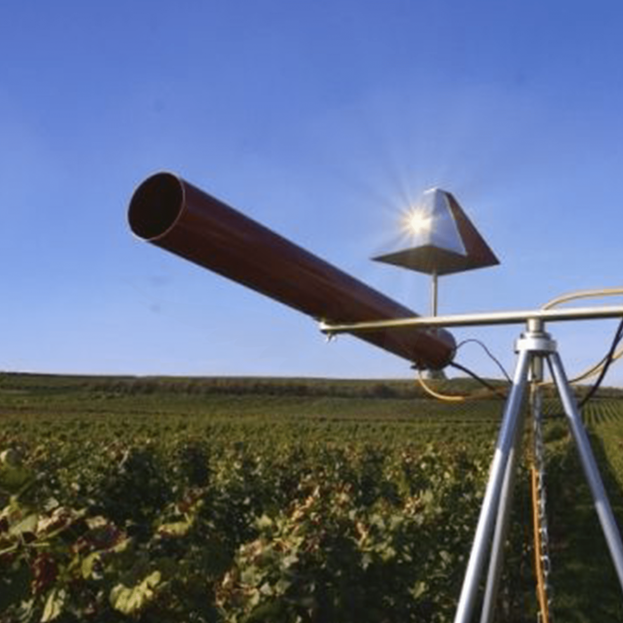 Carousel Gas Gun - Birdzout