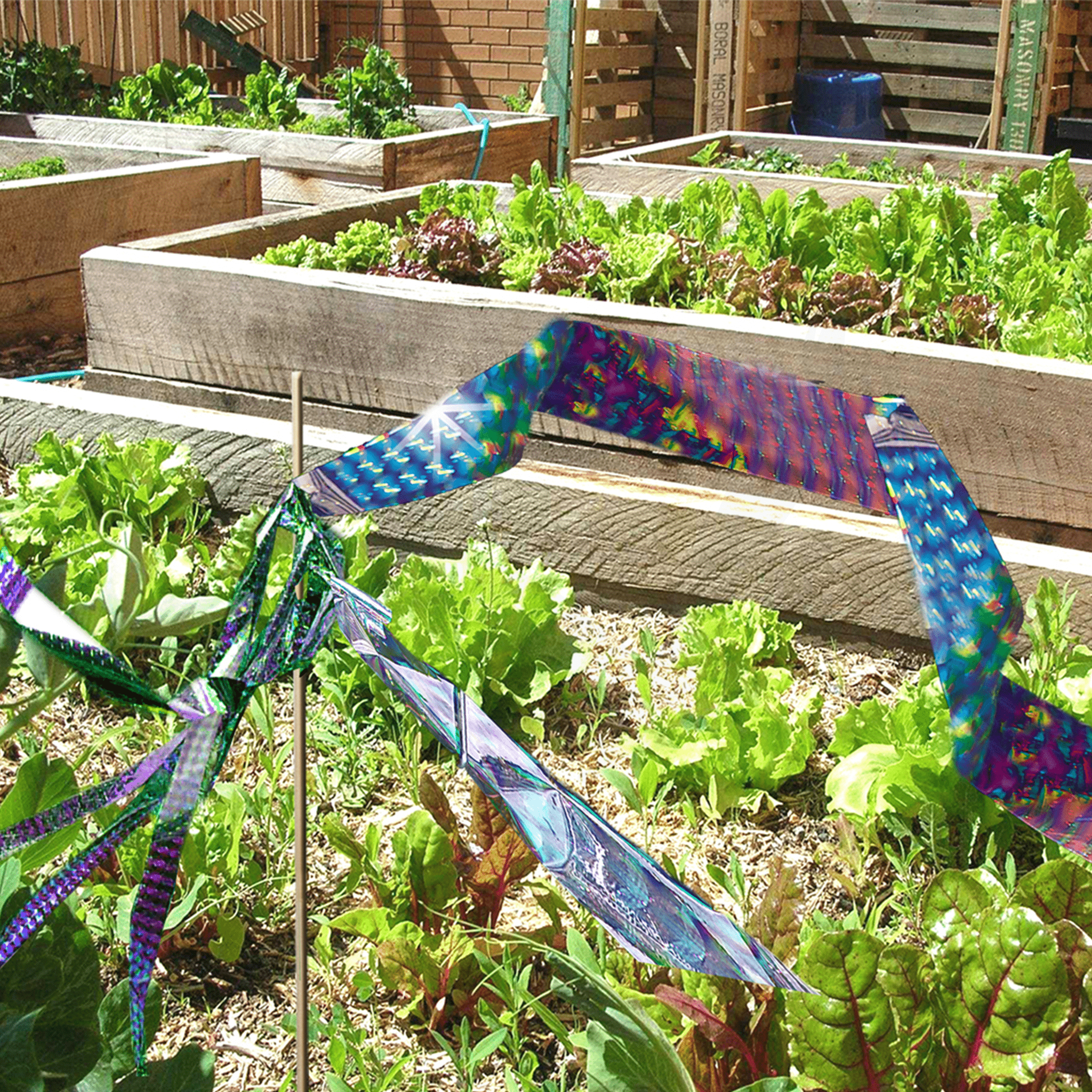 Irri - Tape - Birdzout