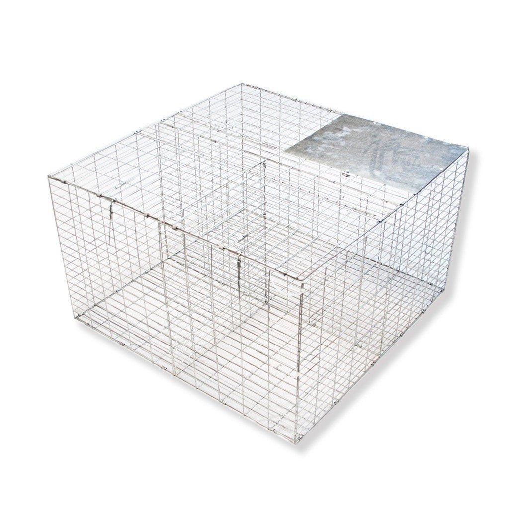Larsen Type Bird Trap - Birdzout