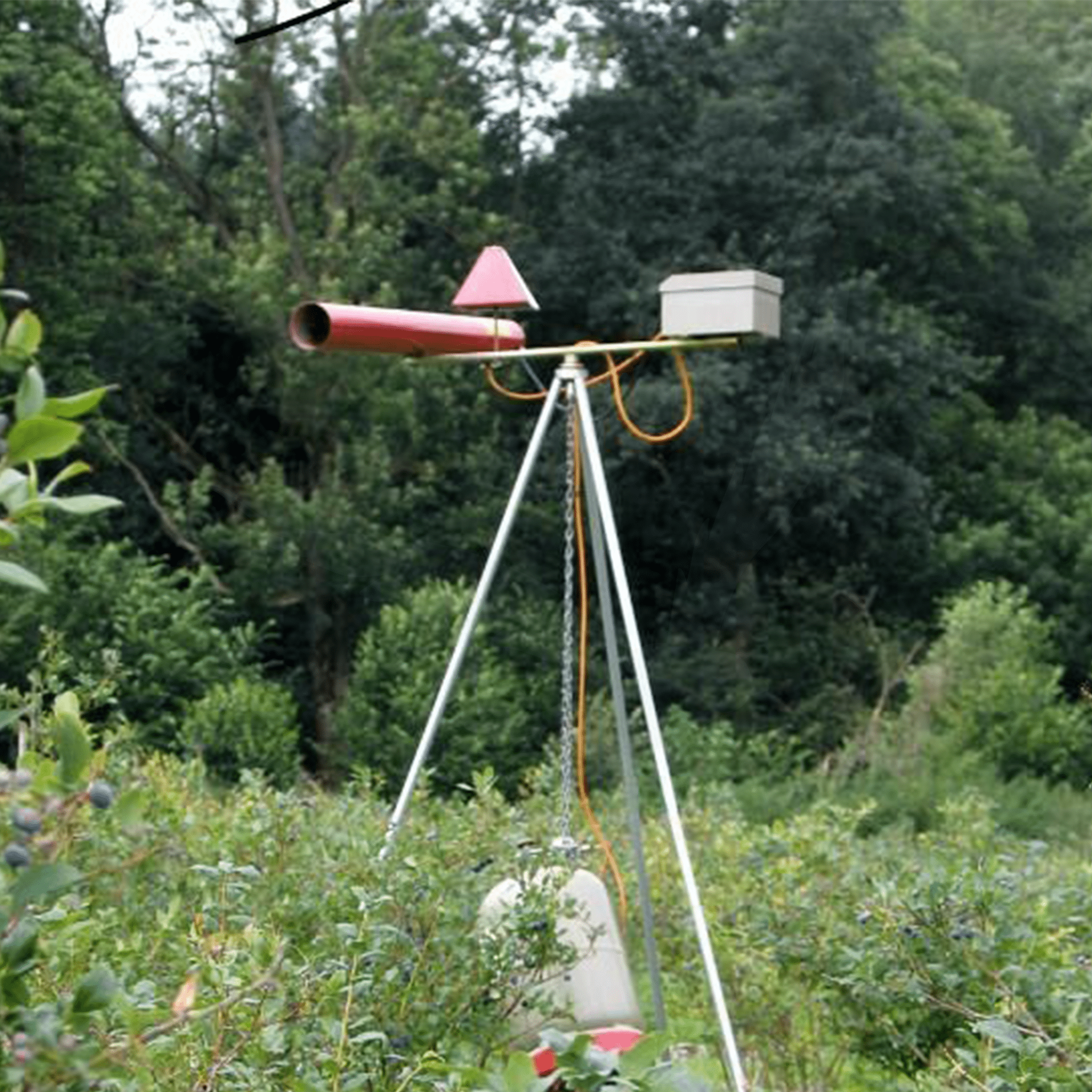 Purivox Mirror Pyramid - Birdzout