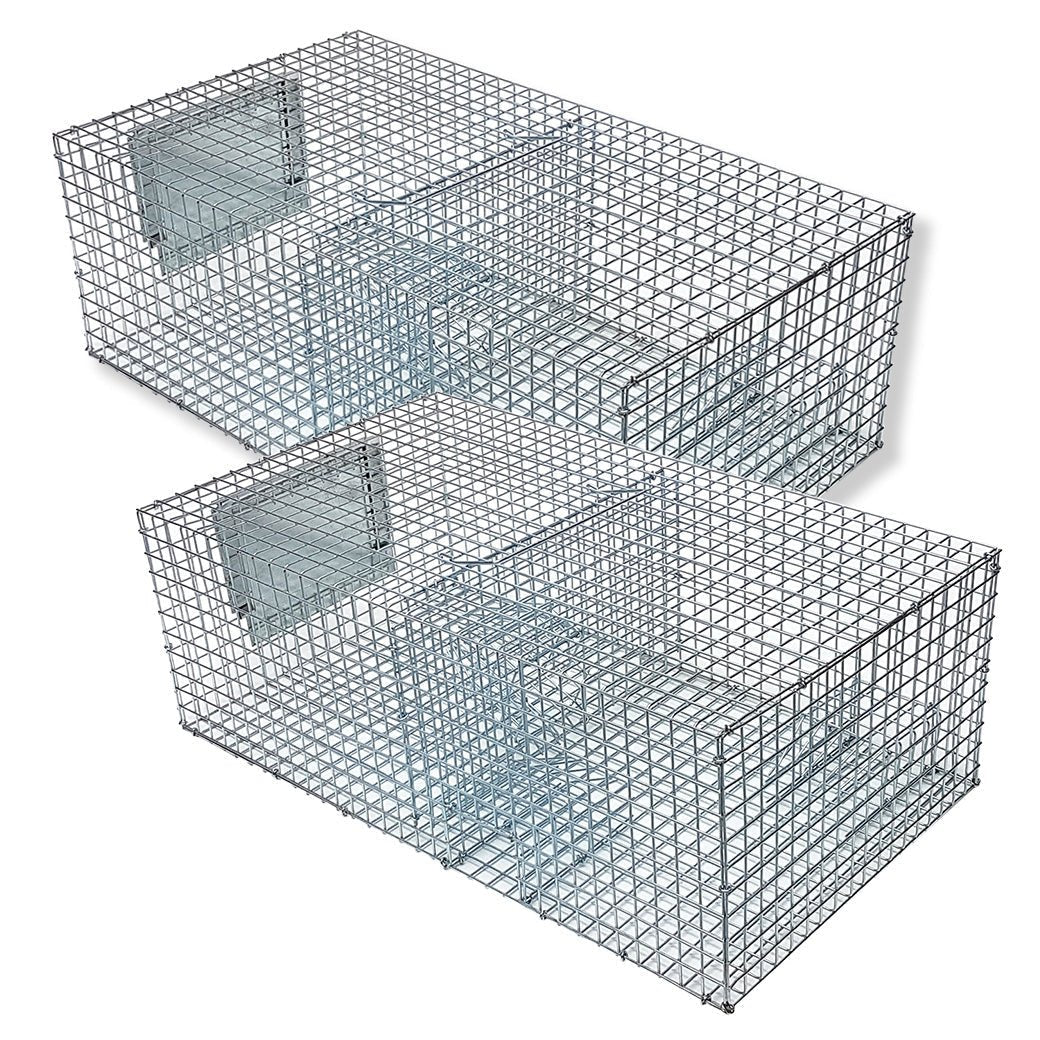 Sparrow Trap - Multi Capture - 2 Pack - Birdzout